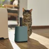 A cat sits behind a teal-colored toilet shovel with a black handle and a white object on the left, on a wooden floor. Produktbild-Vorschau