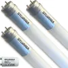 Three Sylvania LED T8 tubes and one starter are arranged diagonally against a white background. Produktbild-Vorschau