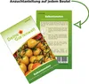 Balkontomaten Balconi yellow Samen - Solanum lycopersicum - Produktbild-Vorschau 3