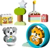 LEGO DUPLO 10977 - Mj Pierwszy Szczeniak i Kotek - Radosne Podgląd zdjęcia produktu 23