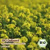 Samenliebe  Gelbsenf Samen | Bienenweide - samenfestes  Produktbild-Vorschau 4