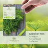 Dill Samen - Küchenkräuter Saatgut aus biologischem Anbau Produktbild-Vorschau 2