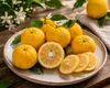 Yuzu Zitrone ca. 40 cm Citrus junos winterharte Japanische Produktbild-Vorschau 3