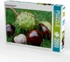 Calvendo Glänzende Kastanien 2000 Teile Puzzle quer Produktbild-Vorschau 1