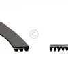 Europart Keilrippenriemen 1080 PJ 5 AEG 899645192030/1 Produktbild-Vorschau 4