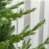Close-up view of green pine branches against a white background. Náhled obrázku produktu