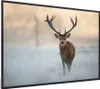 MuchoWow® MuchoWow® Gerahmtes Poster Hirsche - Natur - Produktbild-Vorschau 7