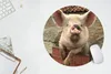 MuchoWow® Mauspad Mousepad Schwein - Rosa - Tier 50x50 cm - Produktbild-Vorschau 5