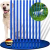 10 Agility-Slalomstangen, Agility-Profi-Set, Hunde Groß für Produktbild-Vorschau 3