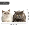 Katzen Fensterbild Fensterfolie - statisch haftend Produktbild-Vorschau 2