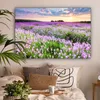 MuchoWow® - Leinwandbilder - Blumen - Lavendel - Lila - Produktbild-Vorschau 2