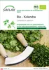 SAFLAX - Bio - Kolendra - 150 Nasiona - Coriandrum sativum Podgląd zdjęcia produktu 1