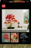 LEGO Botanicals Japanischer Roter Ahorn – Bonsai-Baum - Produktbild-Vorschau 8