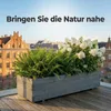 IvoQ Großer Holz-Pflanzkübel - Blumenkasten für Außen & Produktbild-Vorschau 2