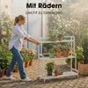 Étagère à plantes sur roulettes Mica Decorations Greenrax - Voir les images du produit 6