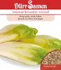 Artikelbild 1 von 'Chicorée Brüsseler Witloof' aus der Kategorie Chicoréesamen Produktbild-Vorschau