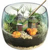 A miniature terrarium scene with two small houses, pumpkins, and plants inside a glass bowl. Anteprima dell’immagine prodotto