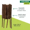 Windhager Beeteinfassung Weide, 100 x 20/35 cm, langlebig Produktbild-Vorschau 3