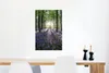 MuchoWow® Poster Alle Bäume mit violetten Sternhyazinthen Produktbild-Vorschau 5
