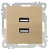 2-fach USB-Steckdose mit Ladefunktion Gold Optik – Produktbild-Vorschau 1