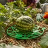KADAX Kürbisstütze Ø 20 cm im 12er Set, Melonenstütze aus Produktbild-Vorschau 2