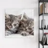 Magnettafel 30x30cm Pinnwand Whiteboard beschreibbar - Produktbild-Vorschau 3