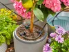 Gardena 13300-20, Czarny Podgląd zdjęcia produktu 27