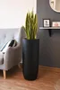 VIVANNO Vase de sol en fibre de verre SOLERIO Rond, noir Voir les images du produit 3