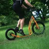Yedoo Mezeq: Patinete rodante / triciclo de asistencia para Vista previa de la imagen del producto 6