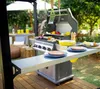 Palram - Canopia aluminiowy pawilon grillowy Austin BBQ Podgląd zdjęcia produktu 9
