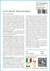 SAFLAX  - Larice comune - 75 semi - Larix Anteprima dell’immagine prodotto 3