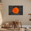MuchoWow® Poster Blumen - Orange - Schwarz - Weiß 90x60 cm Produktbild-Vorschau 6