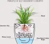 Diagram illustrating the principle of a self-absorbent flowerpot. Náhľad obrázku produktu