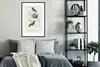 MuchoWow® MuchoWow® Gerahmtes Poster Vogel - Vintage - Produktbild-Vorschau 2