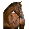 Briglia Snaffle Kerbl Classic in pelle marrone Warmblood Anteprima dell’immagine prodotto 1