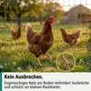 Siatka dla drobiu Agrarzone 50 m x 106 cm, podwójne ostrze, Podgląd zdjęcia produktu 3
