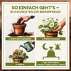 Green Home Beerenobst Erde 72 L – Spezialsubstrat für Produktbild-Vorschau 3