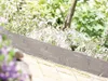 Zahradní obrubník Covergarden Stone 237 x 20 cm - antracit Náhled obrázku produktu 4