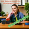 Pflanzkasten 10er Set Paletten Blumenkasten Pflanztopf Produktbild-Vorschau 10
