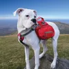 Kurgo Hunde-Rucksack Baxter M Rot Produktbild-Vorschau 2