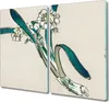 Coloray Schneidebrett Herdabdeckplatte 2x30x52 cm Produktbild-Vorschau 1