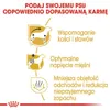 Klein Royal Canin Dachshund Adulto Pollo Arroz Aves 1,5 Kg Produktbild-Vorschau 11