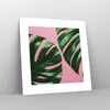 Poster - Poster ohne Rahmen - Monstera Blatt Rosa - 30x30 Produktbild-Vorschau 7