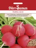 Radies Sora | Radieschensamen von Dürr Samen Produktbild-Vorschau 3