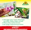 Neudorff Spruzit OrchideenSchädlingsSpray 300 ml Produktbild-Vorschau 4