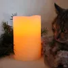 A cat is looking at a lit LED candle next to some pine branches. Podgląd zdjęcia produktu
