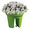 Prosperplast Blumentopf LOFLY RAILING Grün 24,5 cm Produktbild-Vorschau 3