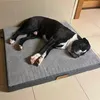 Matelas orthopédique pour chien Dogeste 90x70 cm taille XL Voir les images du produit 18