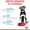 Royal Canin Maxi Puppy, Szczenięta, Maxi (26 - 44 kg), Ryż, Podgląd zdjęcia produktu 6