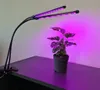 A plant grow light illuminating a small potted plant on a dark desk. Náhľad obrázku produktu